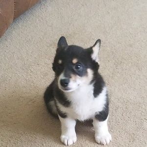 Meet your Posher, Julie